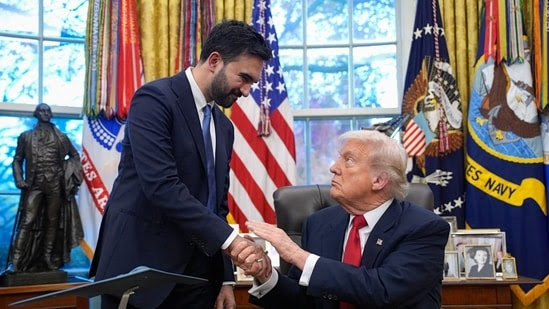 Fascist’ vs ‘jihadist’: Old remarks brought up in cordial Trump-Mamdani meet |