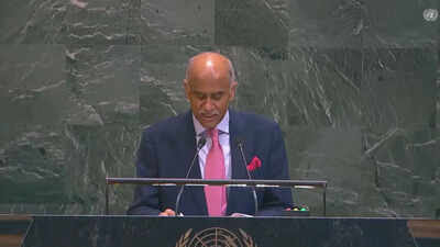 ‘Jammu and Kashmir was, is and will remain part of India: How New Delhi took down Pakistan  at UN